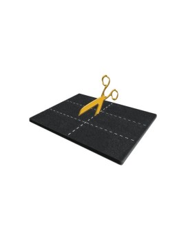 Filtre universel à charbon