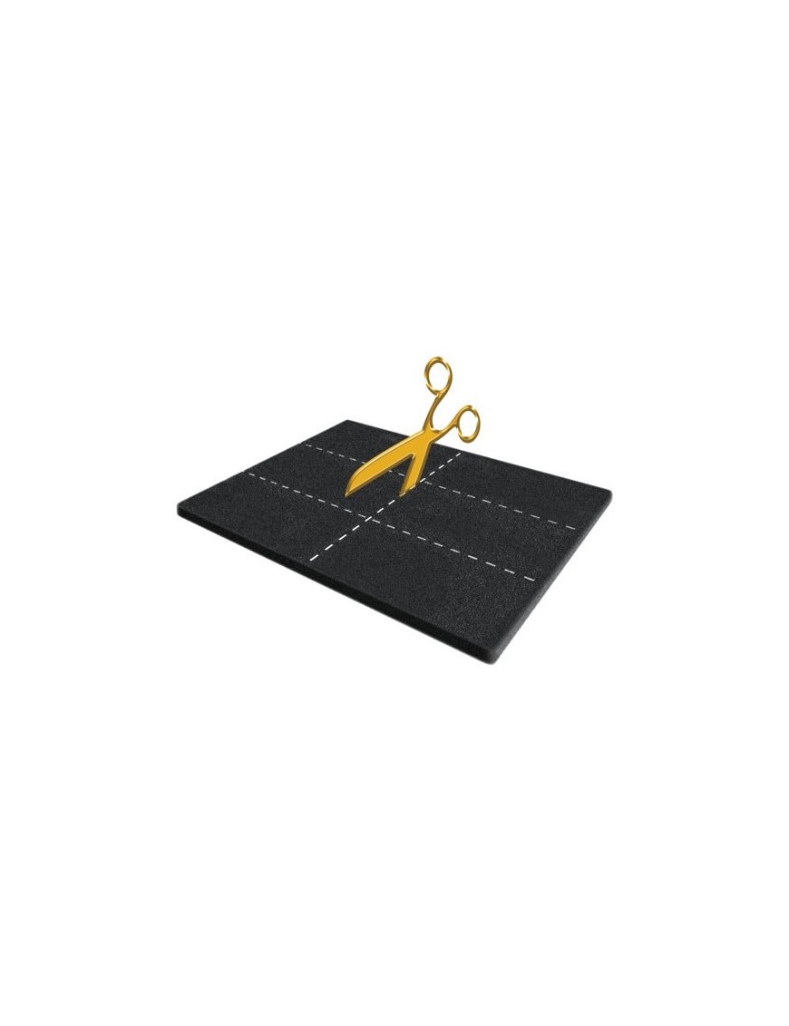 Filtre universel à charbon
