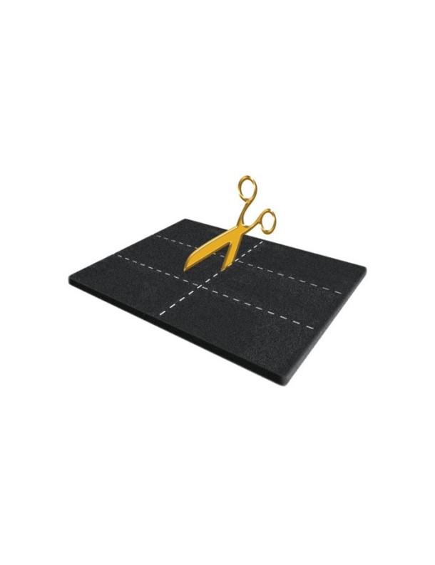 Filtre universel à charbon