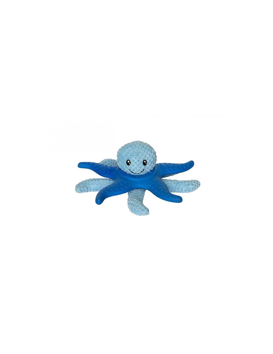 Kiwi Octopus