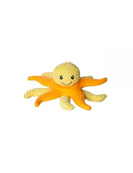 Kiwi Octopus