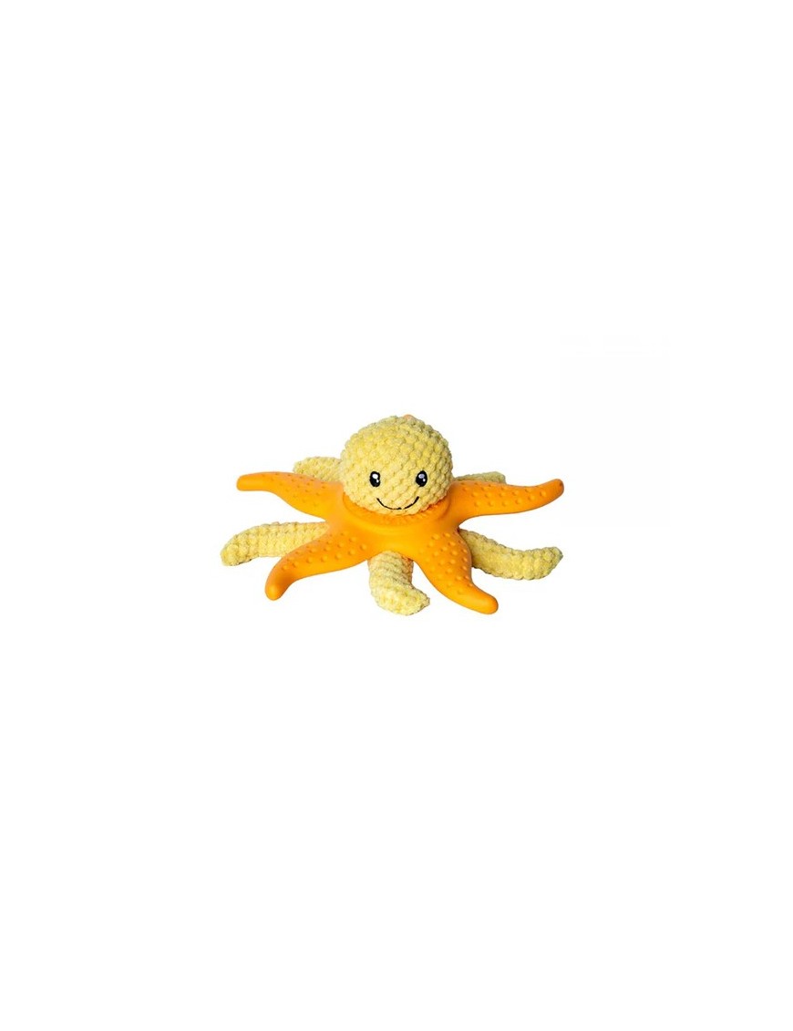 Kiwi Octopus