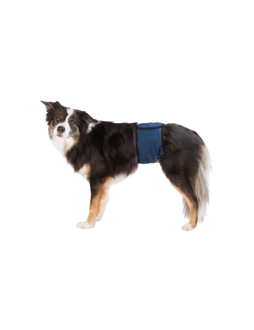 Couche pour chien mâle