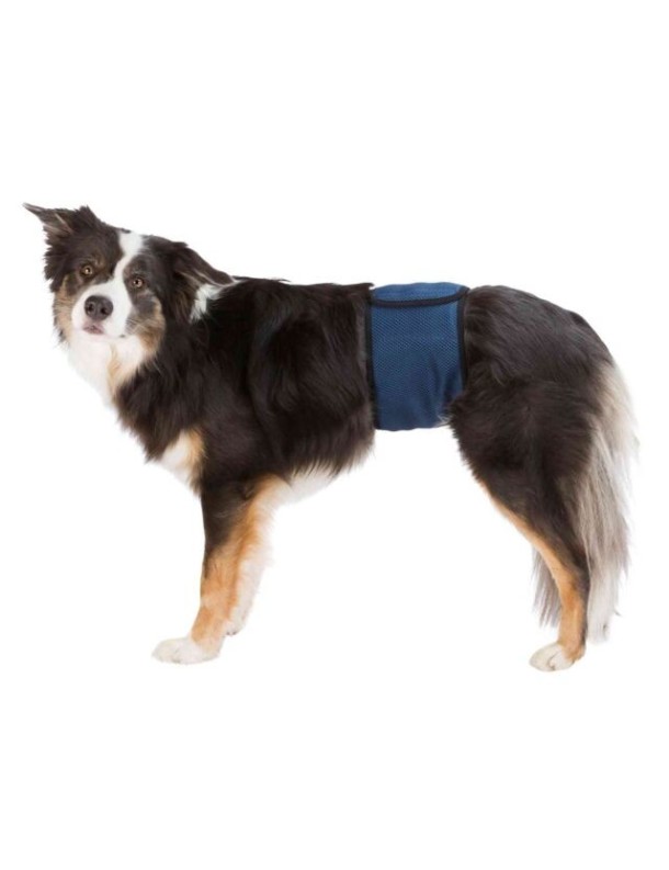 Couche pour chien mâle