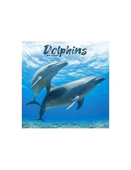 Calendrier Dauphins 2026