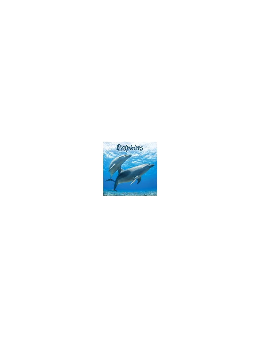 Calendrier Dauphins 2026
