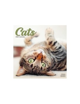 Calendrier Chats 2026
