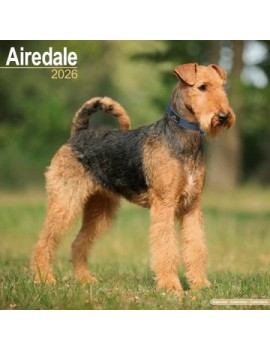 Calendrier Airedale 2026