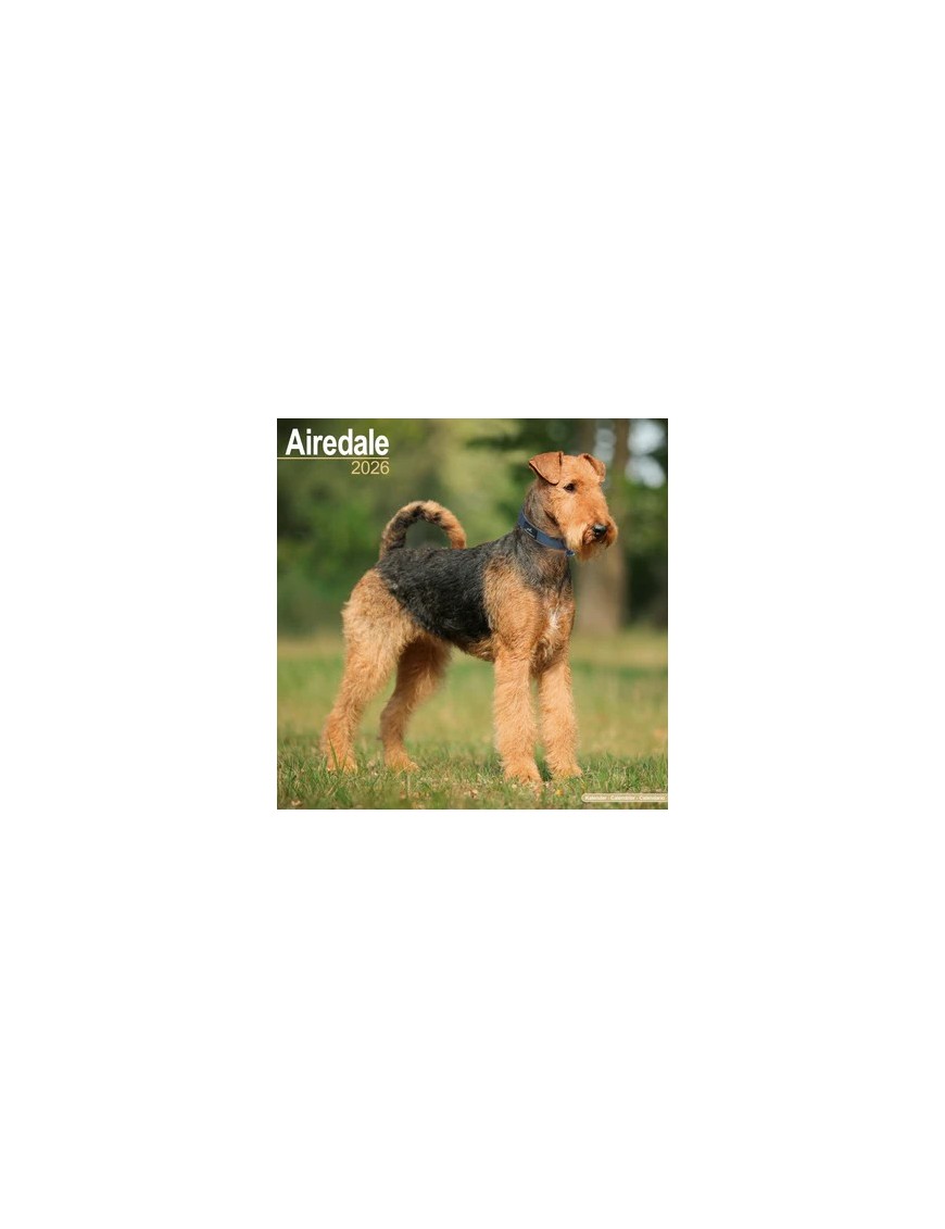 Calendrier Airedale 2026