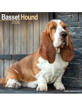Calendrier Basset Hound 2026