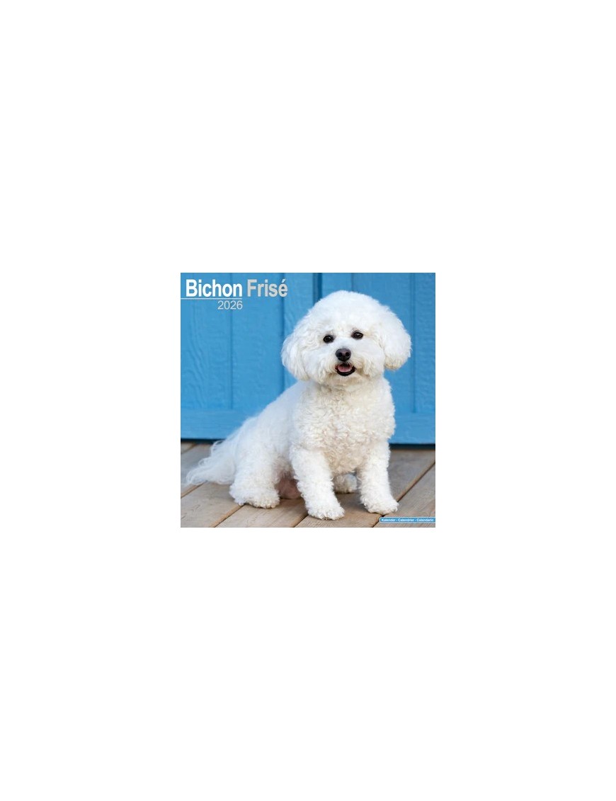 Calendrier Bichon Frisé 2026