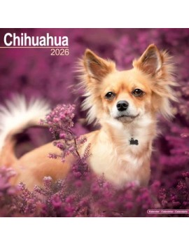 Calendrier Chihuahua 2026