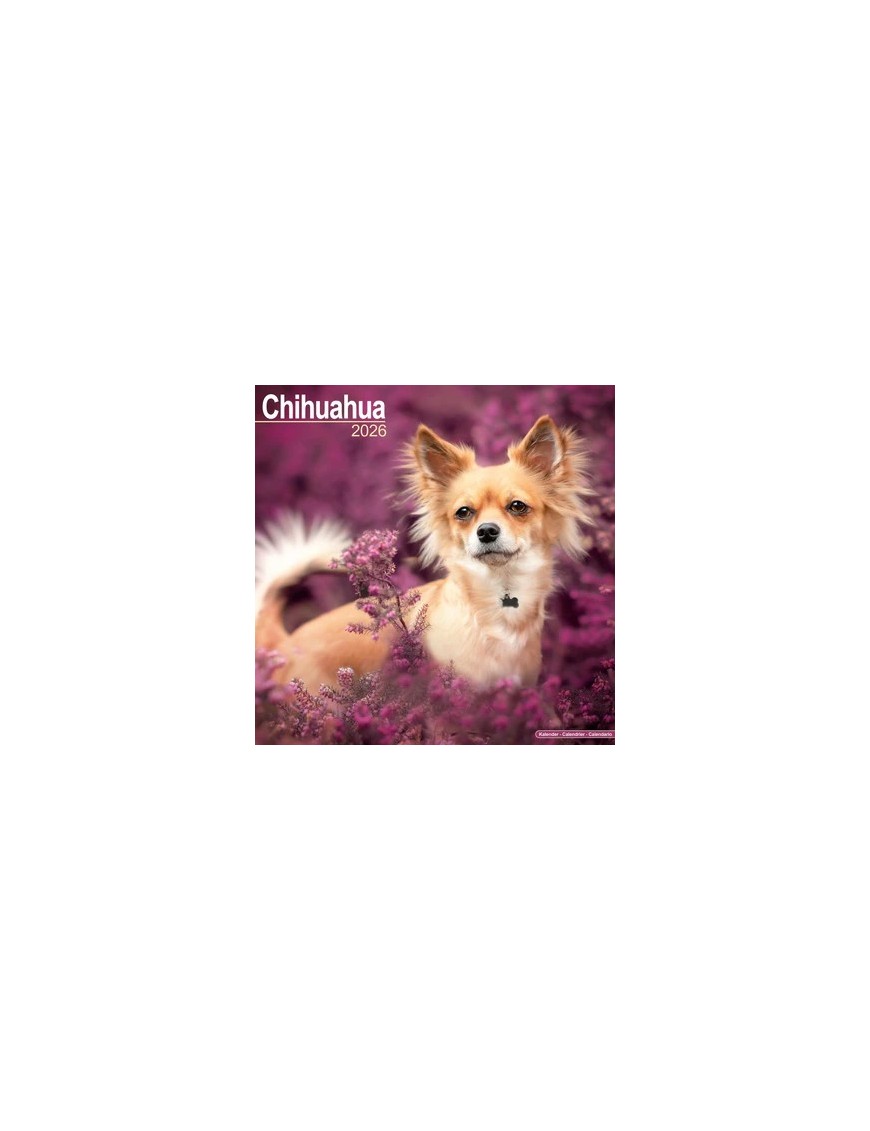 Calendrier Chihuahua 2026