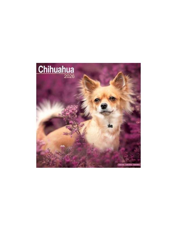 Calendrier Chihuahua 2026