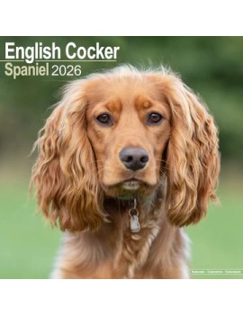 Calendrier Cocker Anglais 2026