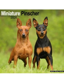 Calendrier Pinscher Miniature 2026