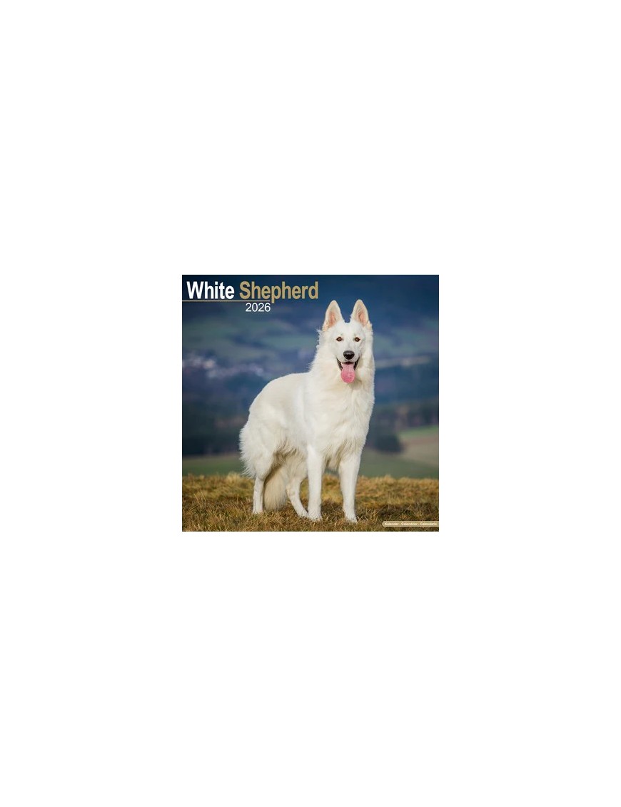 Calendrier Berger Blanc 2026