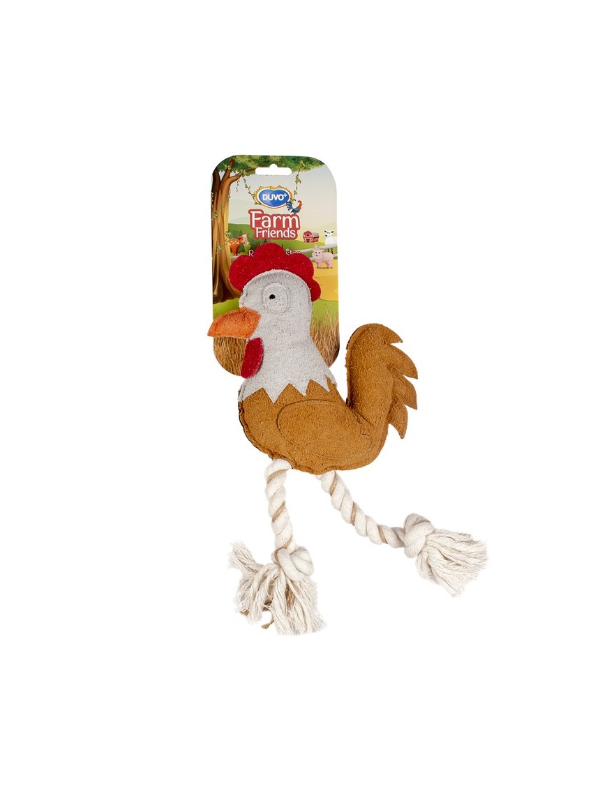 Farm Friends Jouet Poule