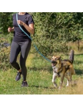 Laisse jogging