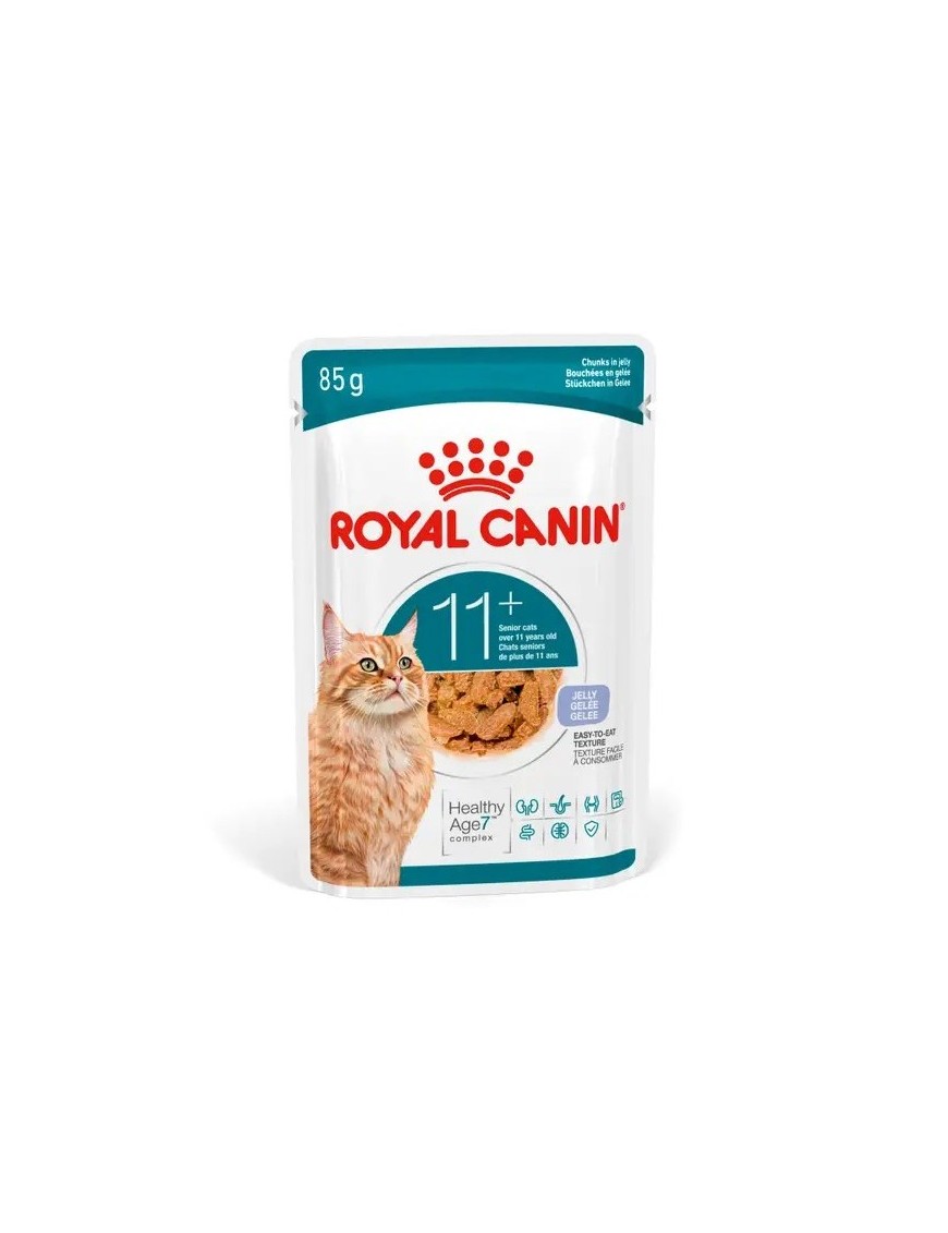 Royal Canin Chat senior sachet 11+ en gelée 85 g