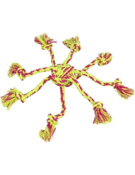 Araignée corde