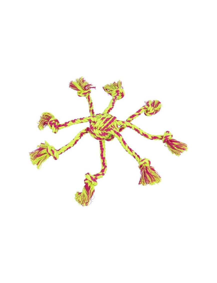 Araignée corde