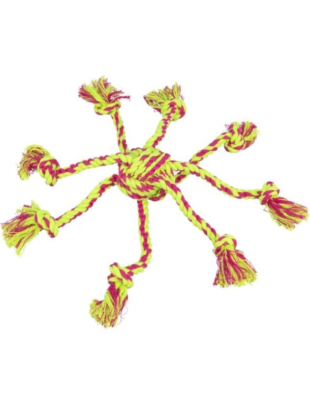 Araignée corde