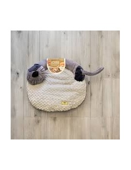 Lit cosy Chat