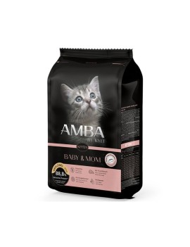Amba Kitten Baby & Mom