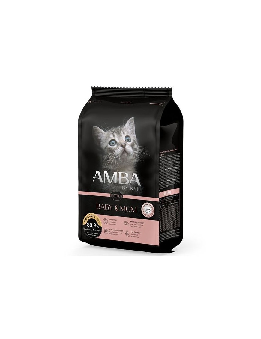Amba Kitten Baby & Mom