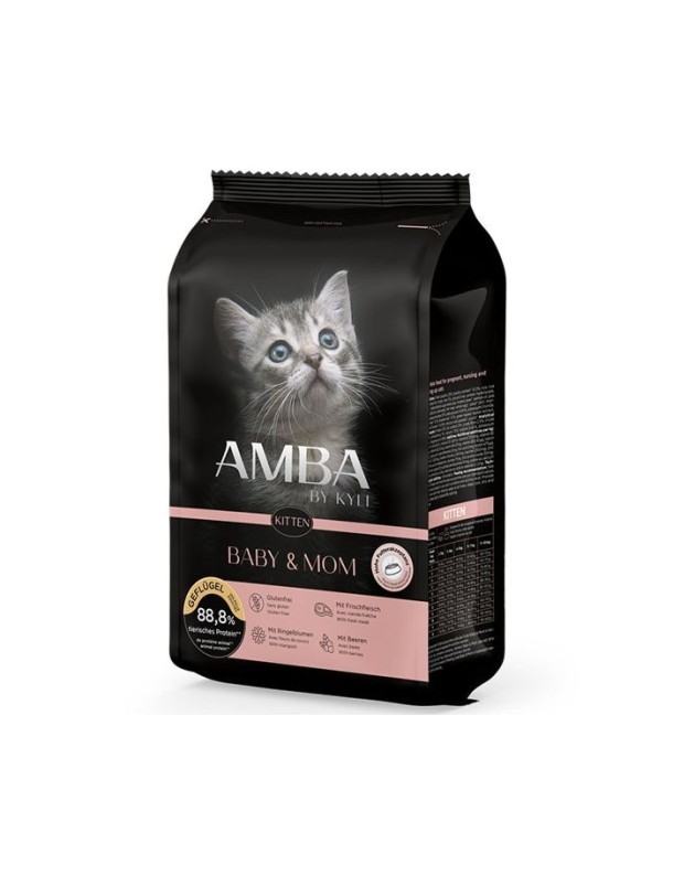 Amba Kitten Baby & Mom