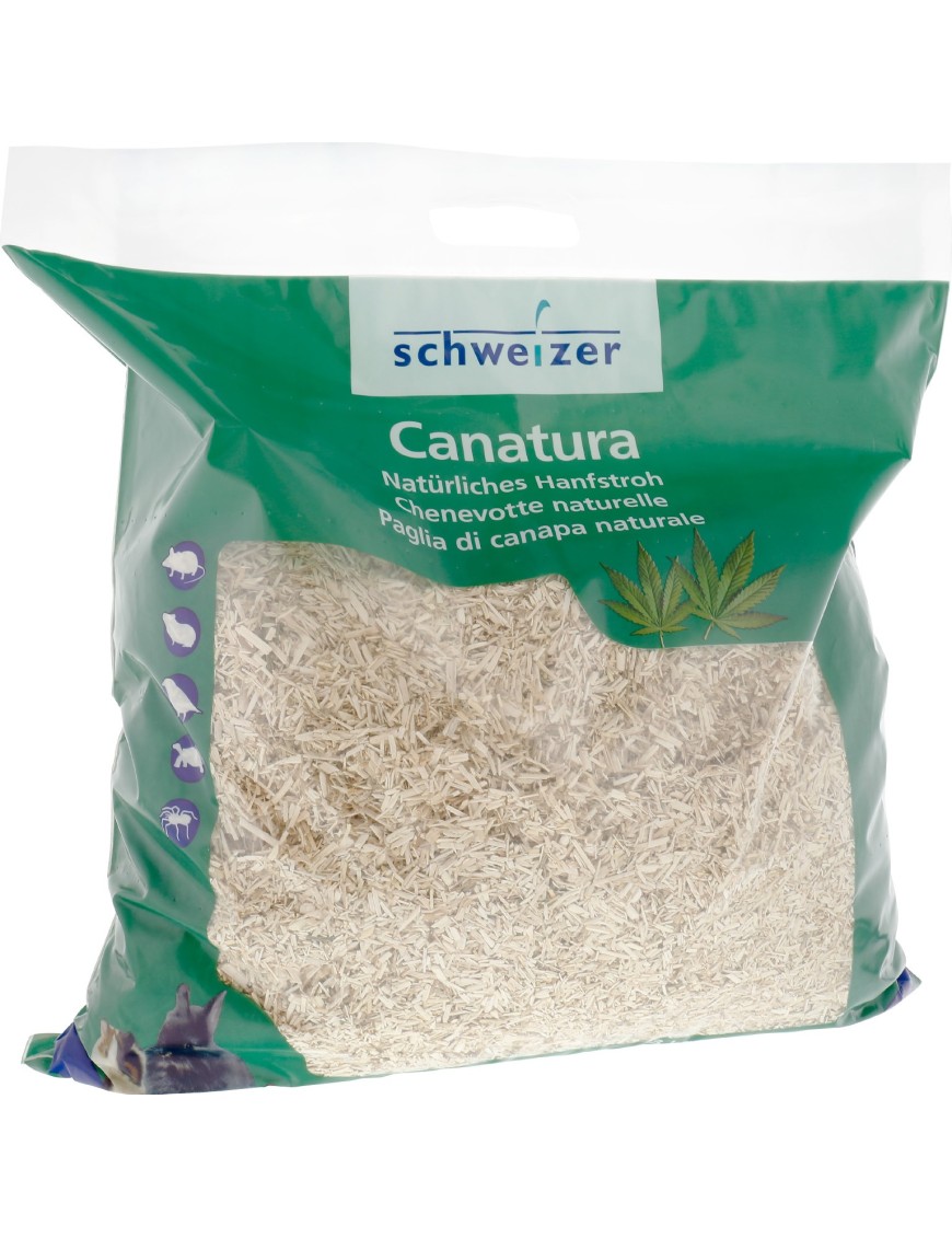 Chenevotte Canatura