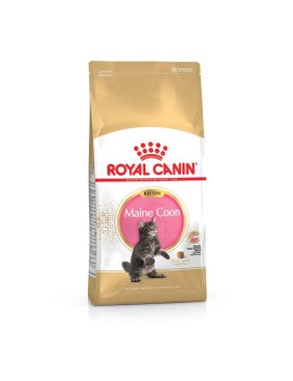 Royal Canin Maine Coon Kitten