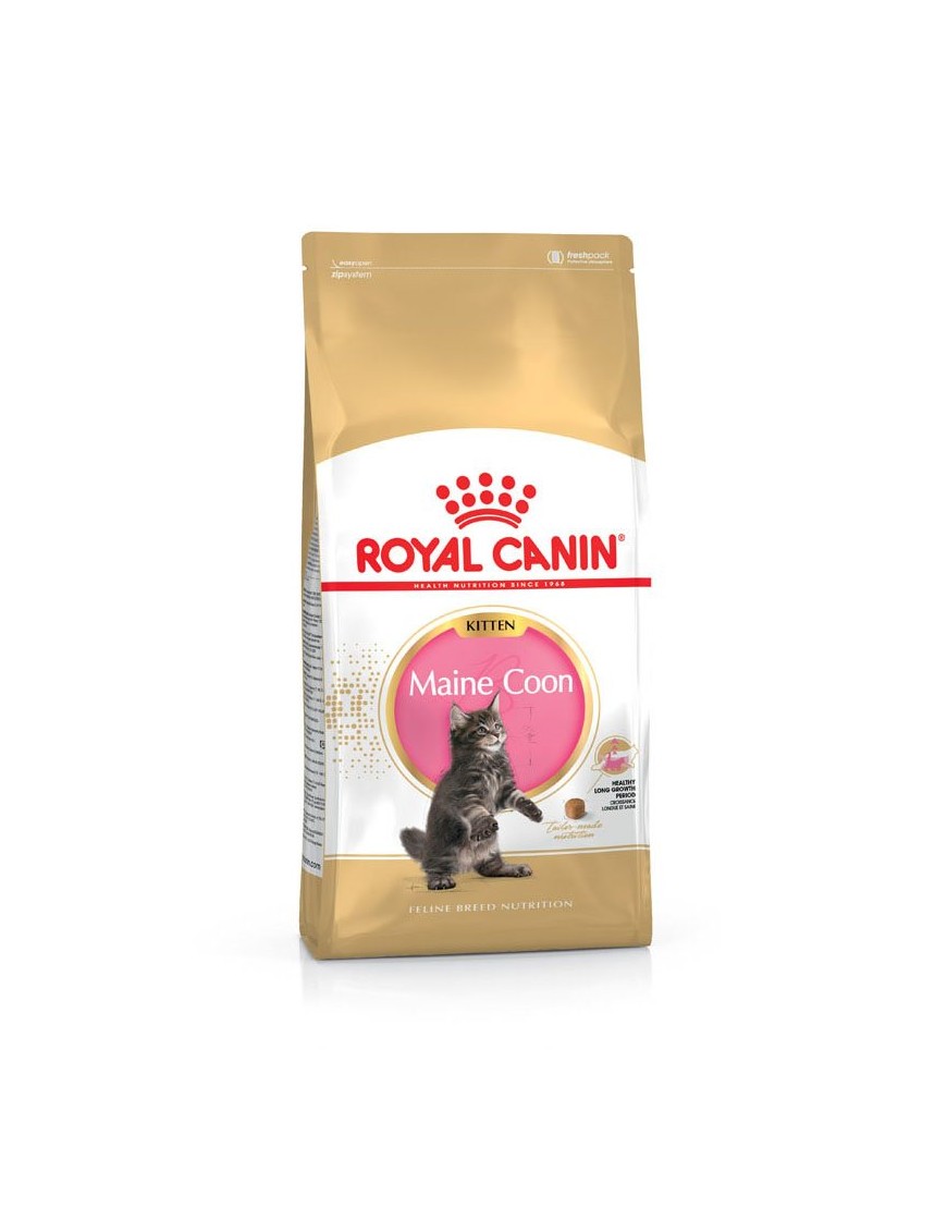 Royal Canin Maine Coon Kitten