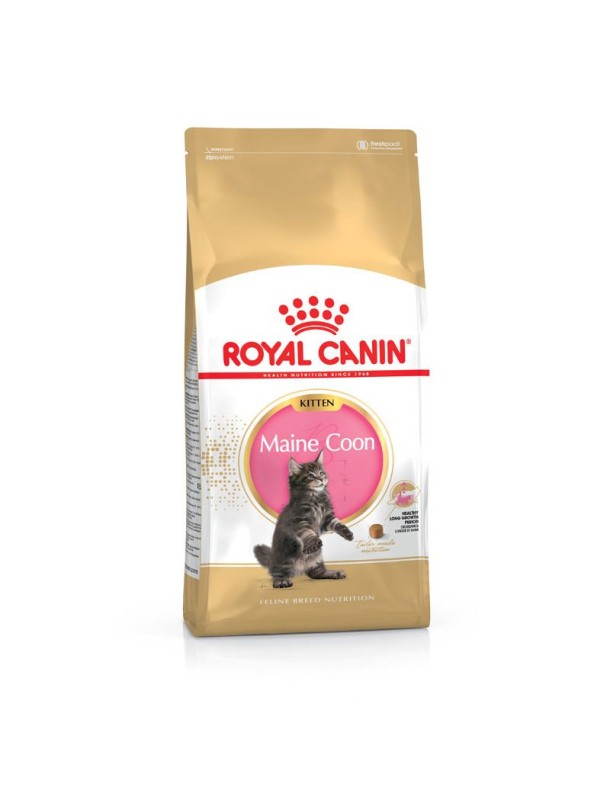 Royal Canin Maine Coon Kitten