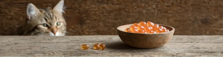 Complément alimentaire