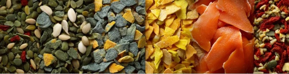 Alimentation