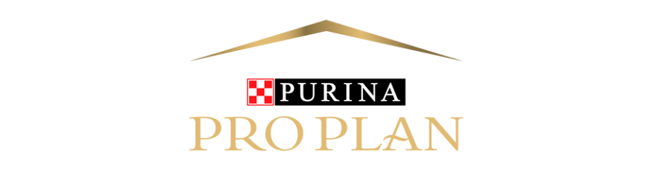 Pro Plan