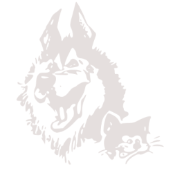 afp all for paws